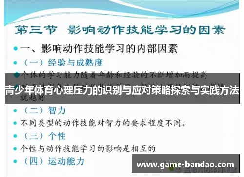 青少年体育心理压力的识别与应对策略探索与实践方法