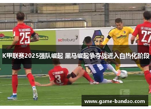 K甲联赛2025强队崛起 黑马崛起争夺战进入白热化阶段