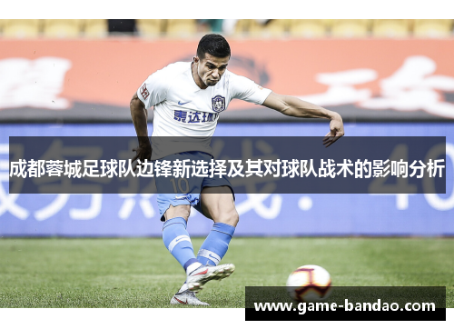 成都蓉城足球队边锋新选择及其对球队战术的影响分析